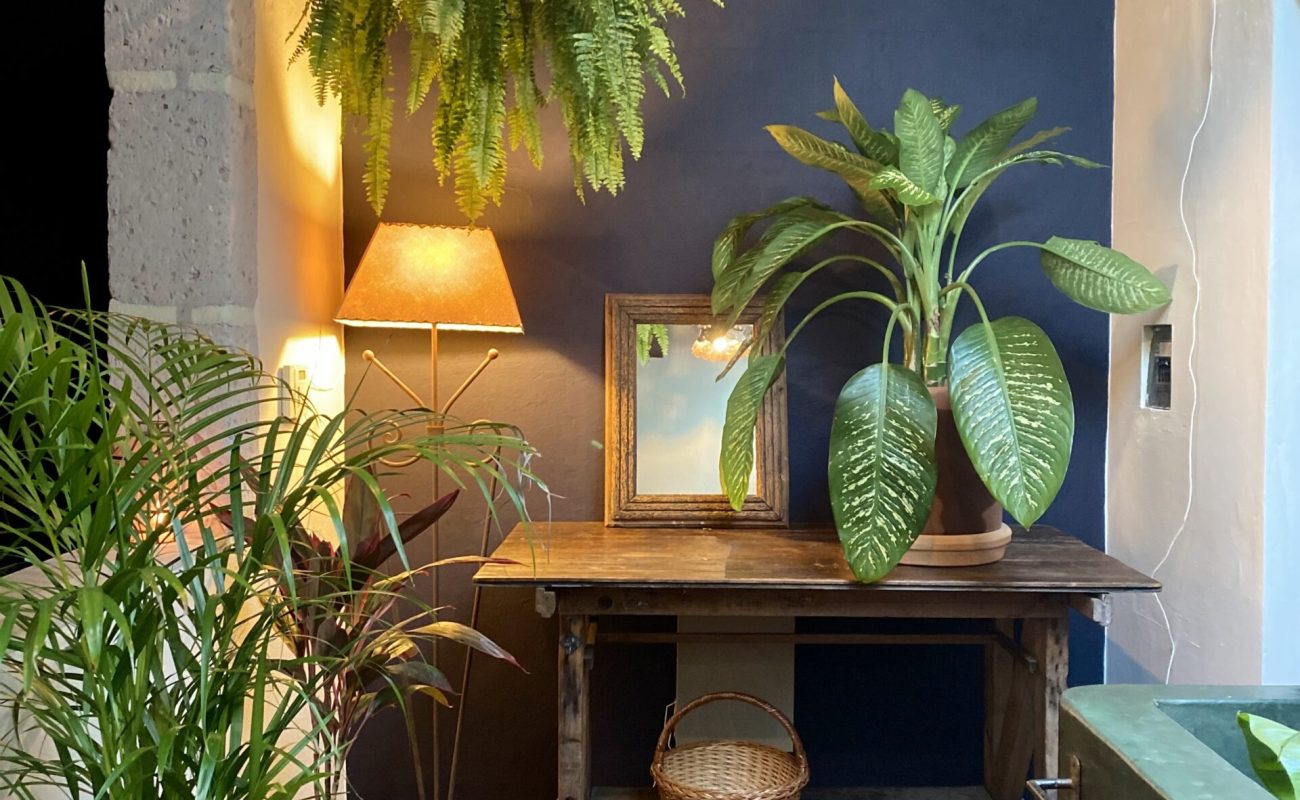 IMG_4733-1-scaled-rc7lwo31minsnko9a2ykf67zgenr41yu6zishfuv5s