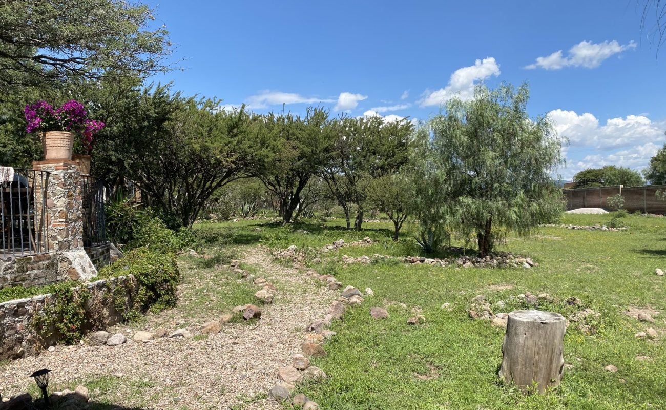 IMG_4809-1-scaled-rc7lwunwycwswuep7nsyemk7m3rblxoyjw36udl3y8