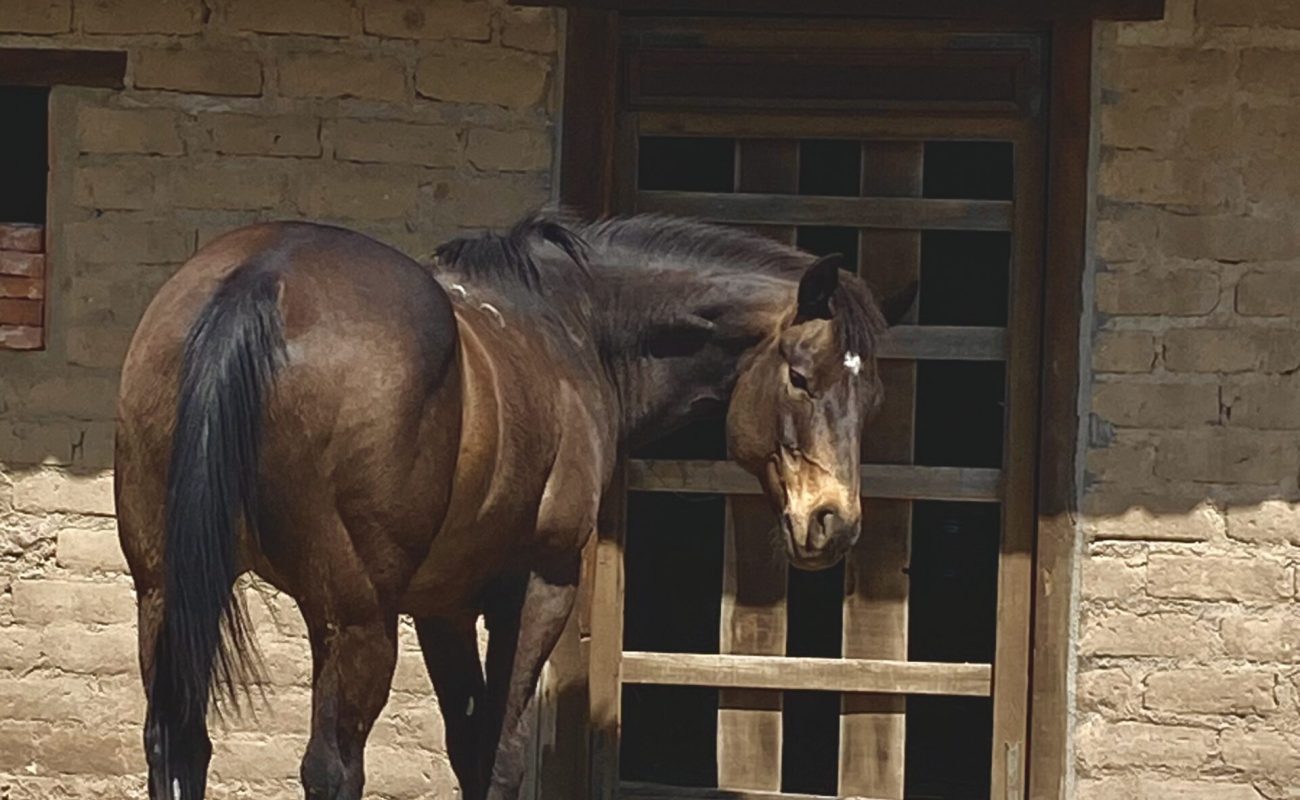 IMG_5163-1-scaled-rc7lx7tnm1etfdvl2thqdj8nxhyglp579p7zk91lj4