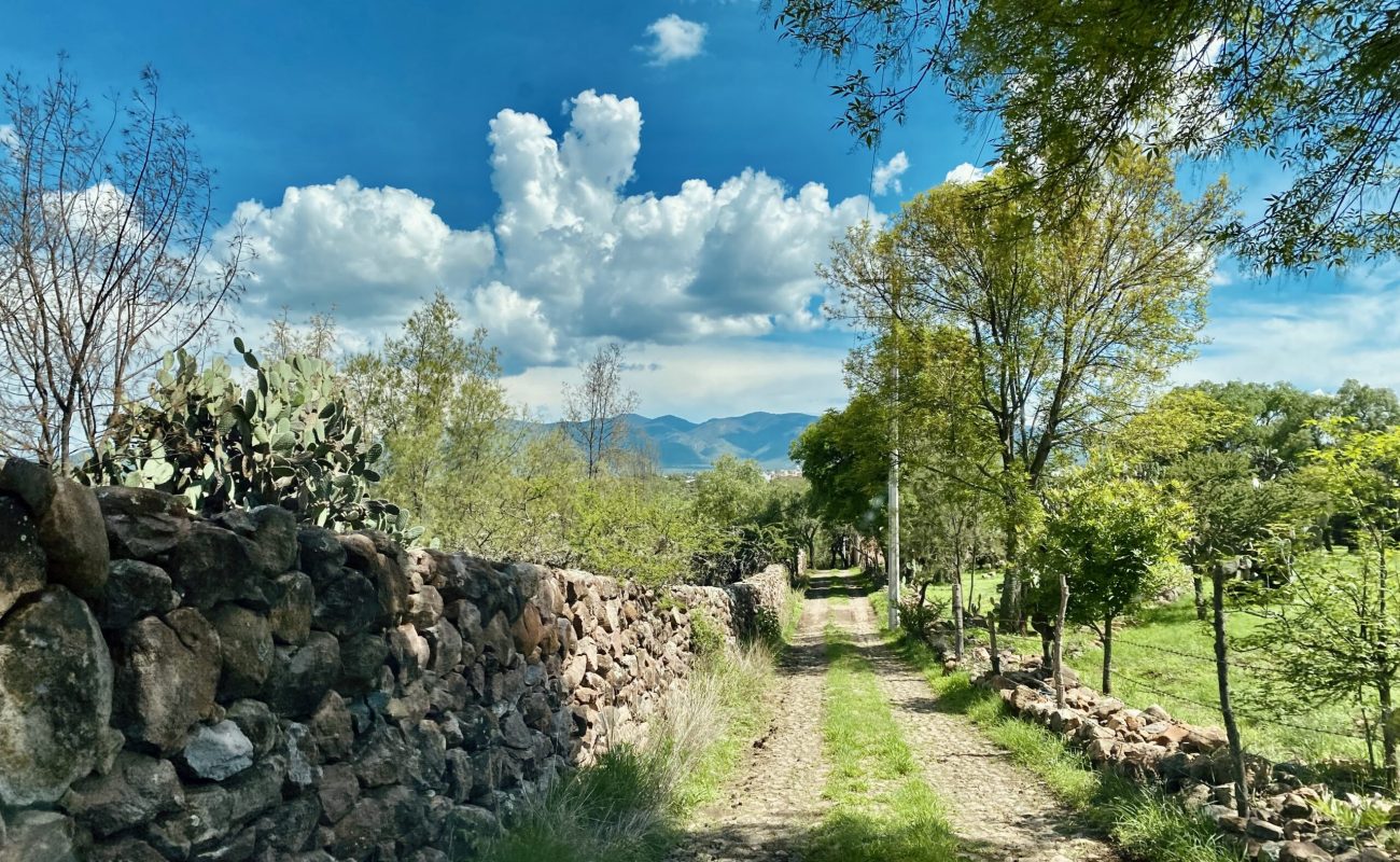 IMG_6634-1-scaled-rc7lyqcamfhg4roe8h23e5heduhr055mt725easri8