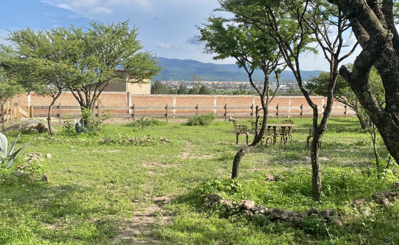 IMG_6979-1-scaled-rc7lywx5y9qge1eu61whdltmjjlbi0vr63mjr8j0ao