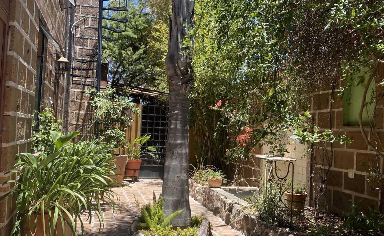 IMG_9963-1-scaled-rc7lzlcyvynwrwfc7cgs6fnlzk8v25krxgl68firsw