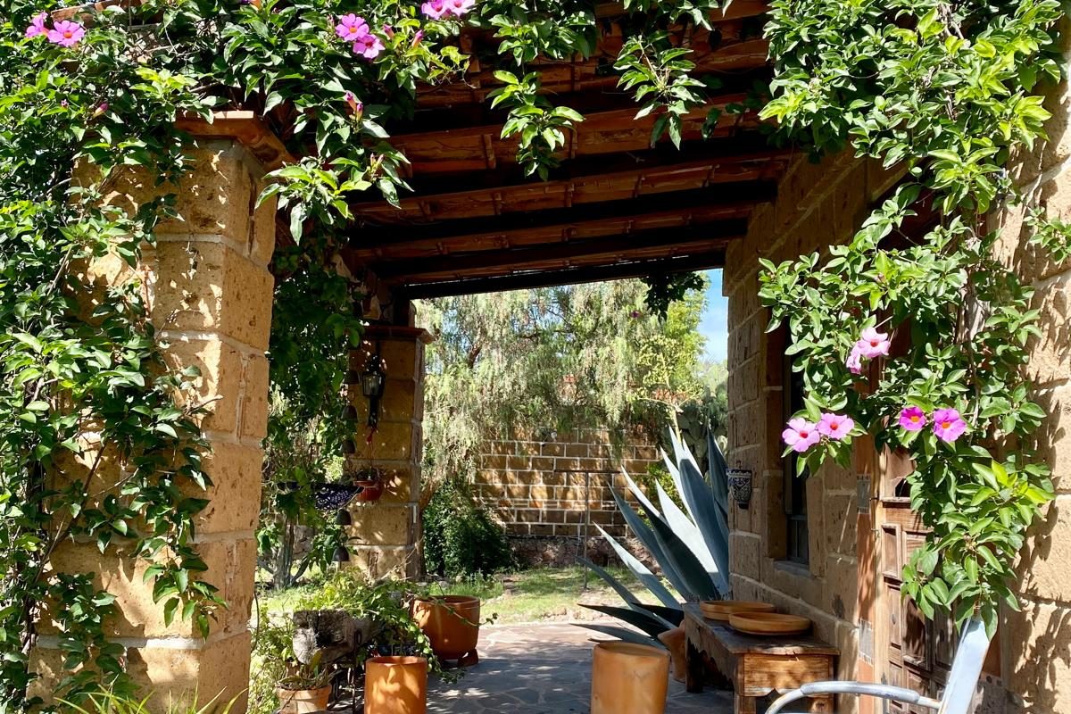 SS-Cover-2-rc7m1cc5lv24drvuzlosbhrhsdmgdvisi4apcbe1q8