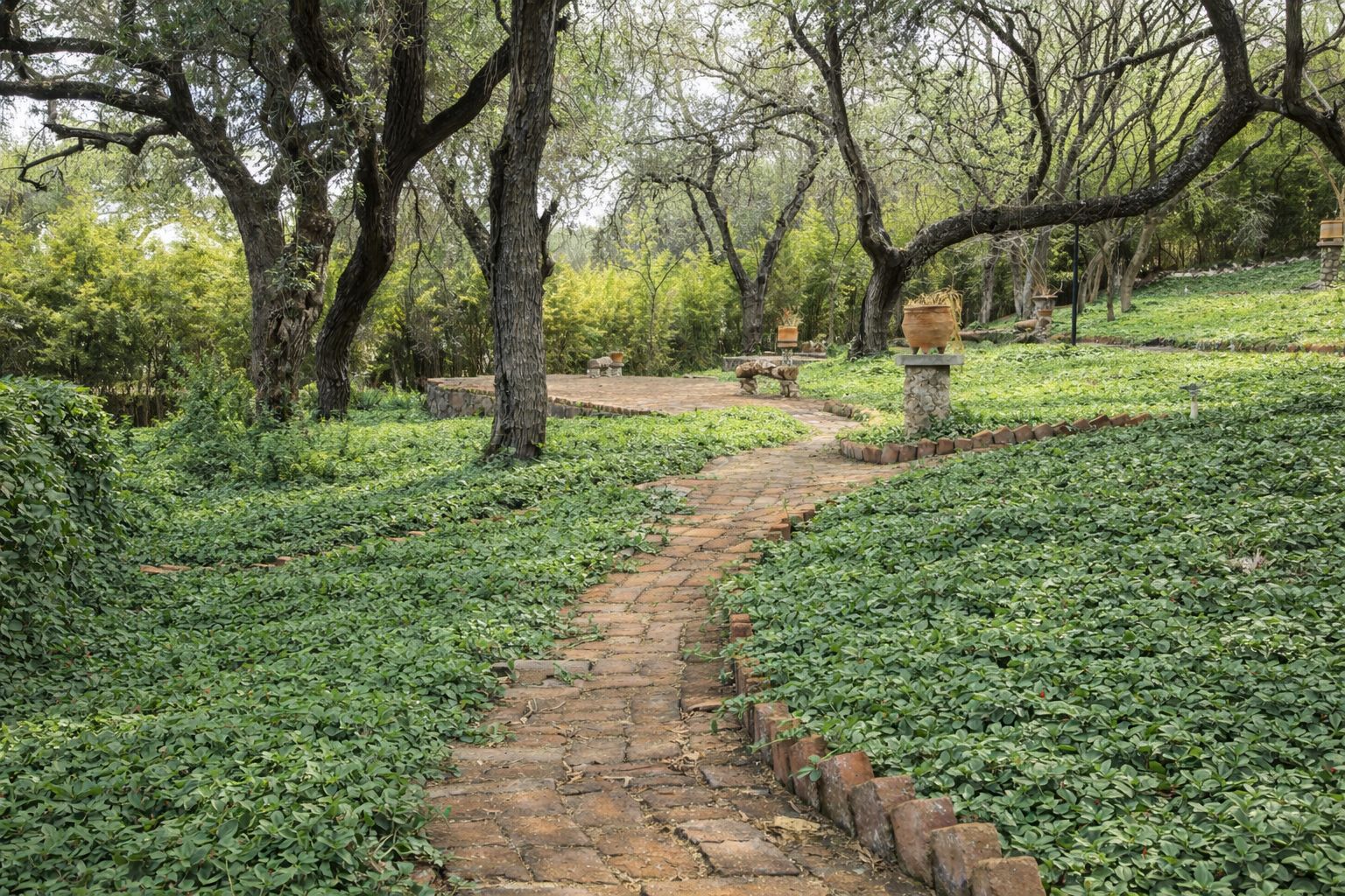 WhatsApp Image 2025-12-17 at 12.32.33 PM (1)