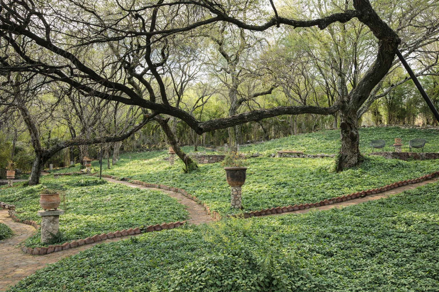 WhatsApp Image 2025-12-17 at 12.32.33 PM